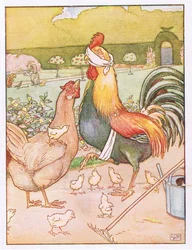 En de haan kreeg een gemene klap, illustratie uit 